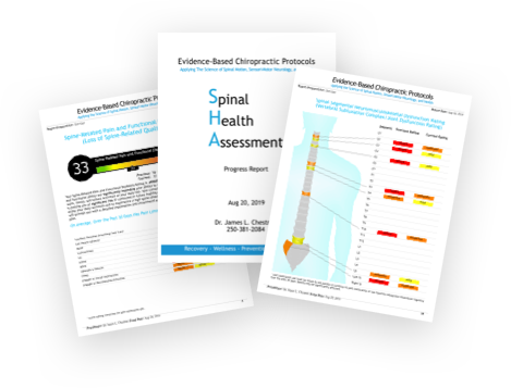 FREE SAMPLE REPORT - Spinal Health Assessment (SHA) Report